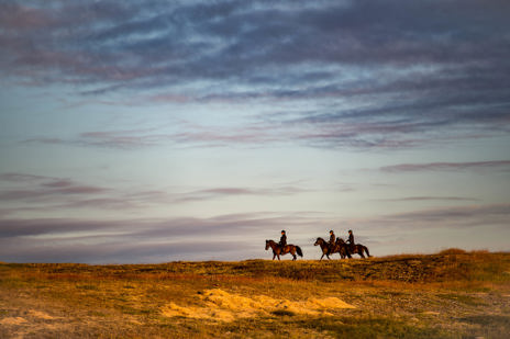 In the morning, ride Icelandic horses through golden valleys beneath fresh snow on the peaks.